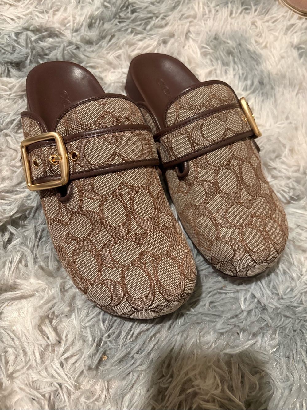 Archival Buckle Clog Coach
